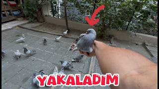 BÖLÜK KAÇAK TAKLAÇI MARDİN GETİRDİ ( YAKALADIM )