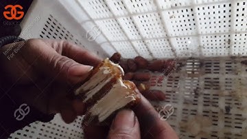 full automatic date pitting machine|Date palm Pitting Machine|date seeds removal machine