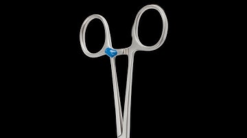 Introduction to WHITECAT