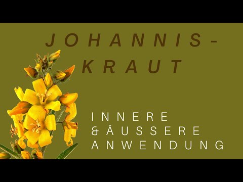 Video: Johanniskraut - Nützliche Und Medizinische Eigenschaften Der Johanniskraut. Anwendung Und Kontraindikationen Von Kräutern