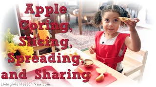 Apple Slicer - Montessori Services