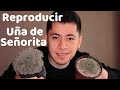 COMO REPRODUCIR UÑA DE SEÑORITA SEMPERVIVUM || TU JARDINERO EL CITADINO