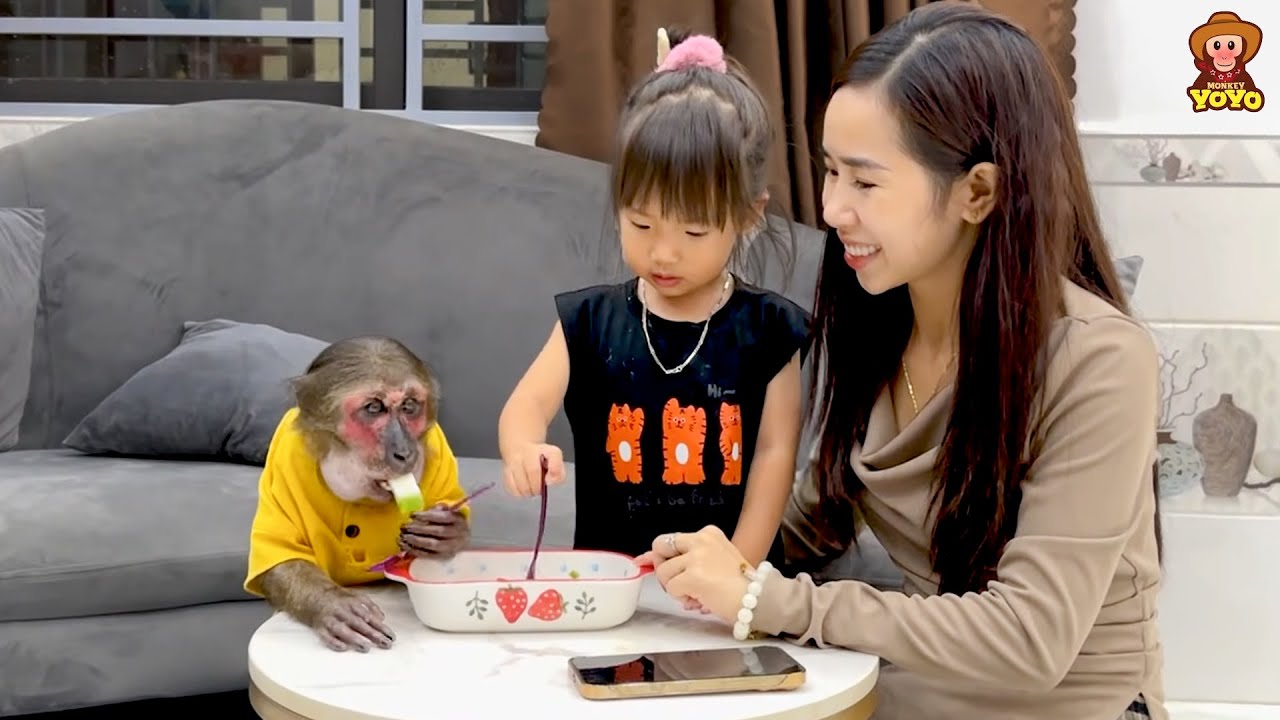 YoYo Jr and Ai Tran go to the supermarket to buy ingredients to make fruit jelly.