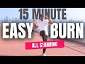 BURN FAT in 15 MINS at HOME! BEGINNERS FRIENDLY!