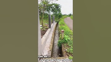 Cần Tiền Xoay Sở Công Việc A Tư Cần Bán Gấp Đất Vườn Ở Bà Rịa Vũng Tàu #shorts