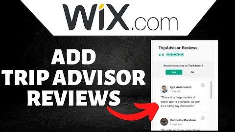 How To Add Trip Advisor Review To Wix Website