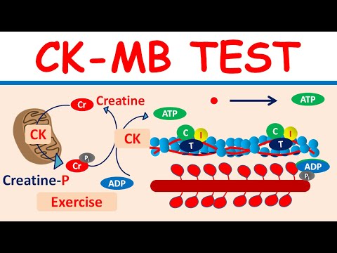 CK-MB test and it&rsquo;s significance