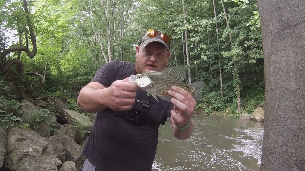 Rapala Original Floating Minnow : Challenge Spill Way Fishing