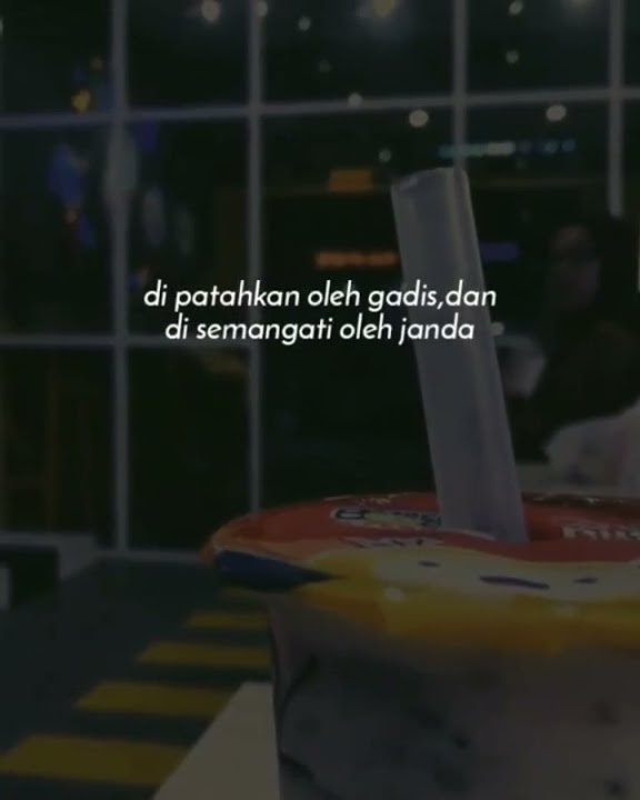 STORY WHATSAPP | di patahkan oleh gadis, dan di semangati oleh janda