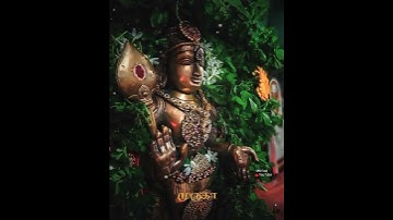 🙏Lod Murugan Status || Palani malai Murugan || kavadi || 4k HD Video || Whatsapp Status Video Tamil🙏