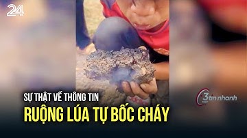 Xử phạt nhà hàng 