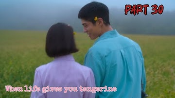 [Hindi Dubbed] When Life Gives You Tangerine| Part 30 | #kdrama#whenlifegivesyoutangerines #iu#bogum