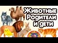 Развивашки для малышей: Учим животных.