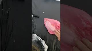 рыбалка в Масленицу #иркутск #рыбалка #глухозимье #иркутское водохранилище