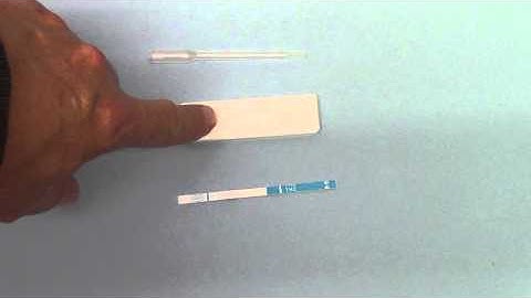 Difference between a strip and a cassette drug test Which is better ?