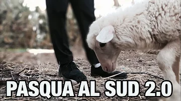 Che significato ha l'agnello a Pasqua?