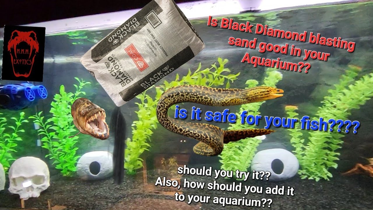Aquarium substrate. SHOULD YOU USE Black Diamond Blasting sand