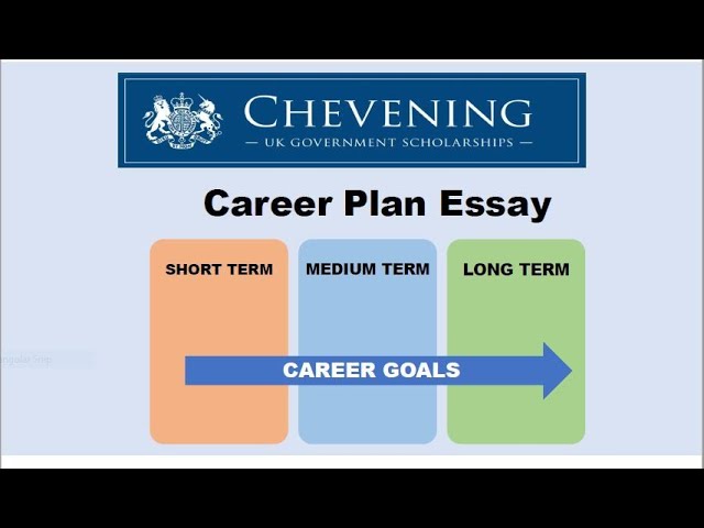 career plan essay