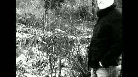 Colin Gibson -my braveheat