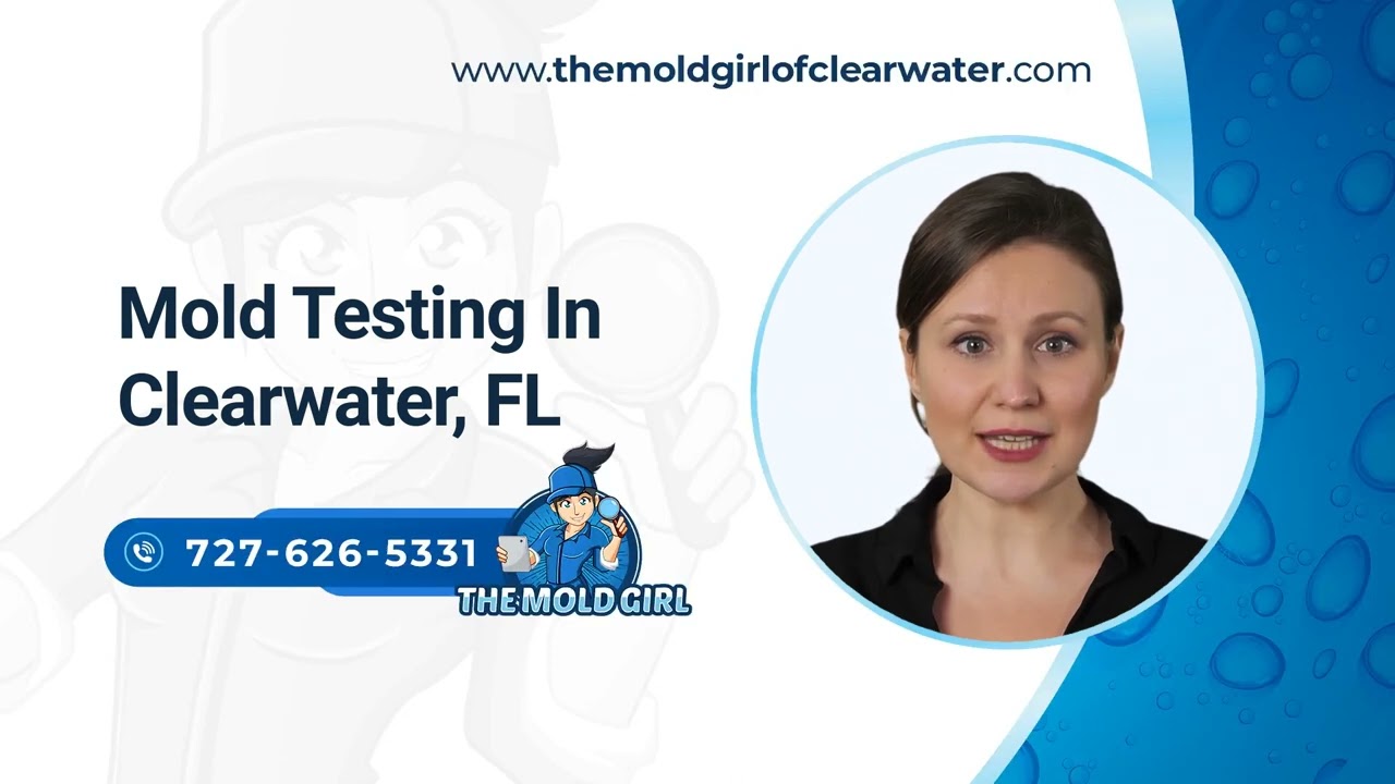 Mold Testing In Clearwater, FL