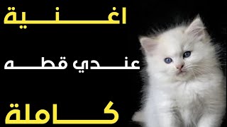 اغنيه عندي قطه وانت لا قطه 🐈🔥بس دماغه طقه كامله🐱😂