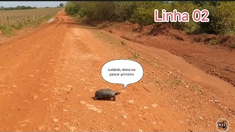 Linha 02 município de Ministro Andreaza 