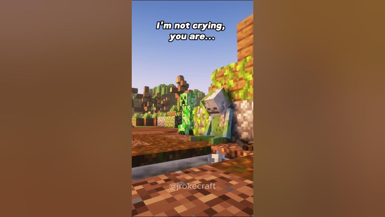 I'm not crying, you are...  #minecraft #sad