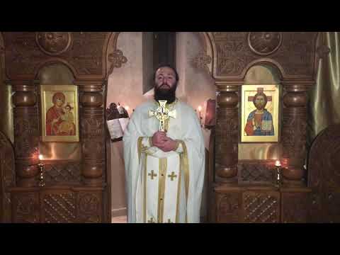 ქრისტესმიერი თანაგრძნობა სიბრალული და კურნება (ქადაგება; 8.დეკ.2019)