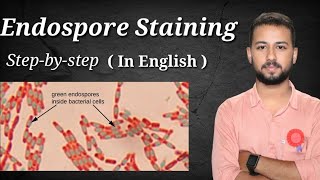 Endospore staining procedure in english | How to Perform an Endospore Stain | bacterial endospores