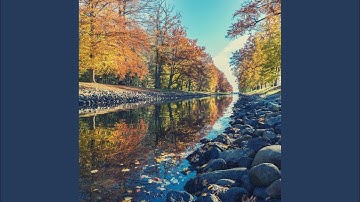 Sultry Jazz Saxophone - Vibe for Seasonal Updates