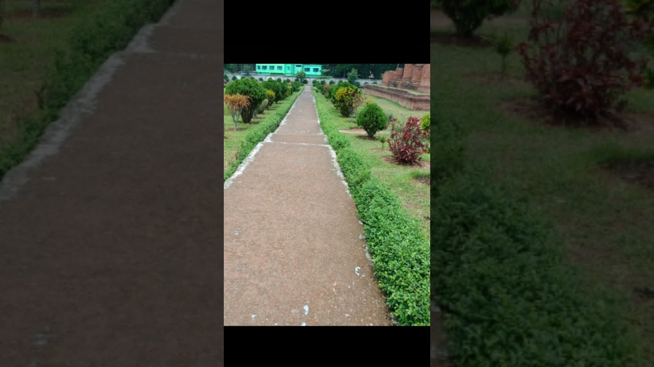 শালবন বিহার |||| বাংলাদেশের ঐতিহ্য || Shalbon Bihar কুমিল্লা,বাংলাদেশ|| Comilla Bangladesh #Shorts
