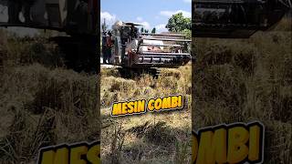 Latest Info On Harvesting Using The Combi Machine shorts latestinfo farmers modernfarmers