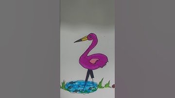 how to draw flamingo 🦩🦩easy #drawing #art #shorts