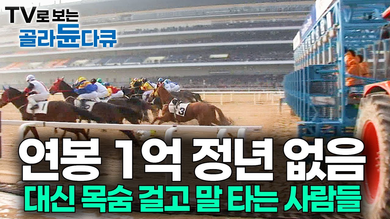 실력으로 모든 것이 정해진다. 억대 연봉에 정년 없는 직장에 취직했습니다｜경마 기수 24시｜극한직업｜