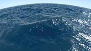 Seascape OpenGL shader (shadertoy)