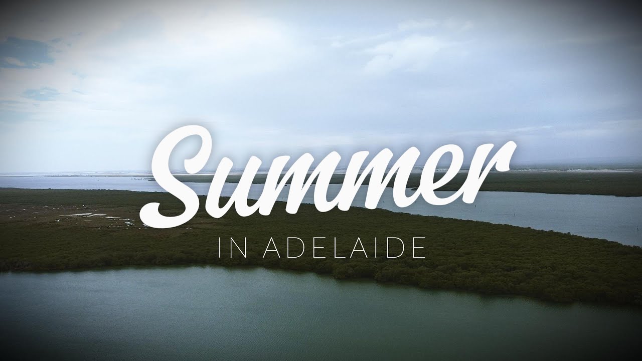 🐬 Adelaide Dolphin Sanctuary Drone Footage – A Magical Wildlife Haven! 🚁