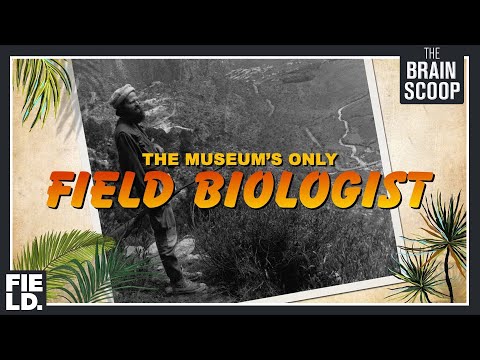Meet the Museum's only Field Biologist