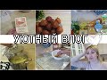 ✔️ВЛОГ, ВКУСНЕЙШИЕ ТВОРОЖНЫЕ ШАРИКИ,🍘 МНЕ ВЫДАЛИ ГРАМОТУ🏆ВЕЧЕРНИЕ РУТИНЫ🍀