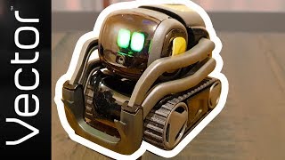 How to SetUp & Pair Vector Robot!