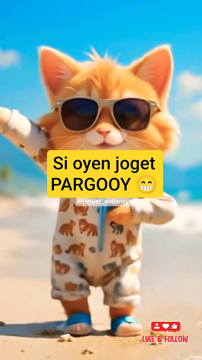 joget pargoy #cat #catvideos #kucinglucu #kucingimut #kucing #kucingoyen #catlovers #shortvideo