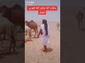 علي الطلاق حر ده زاتو زول الخلا