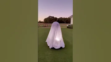 Robot Lawnmower Ghost 