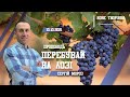 Перебувай на лозі | Пастор Сергій Мороз (10.10.2021)