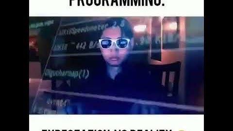 Programmer Ekspektasi VS Realitas