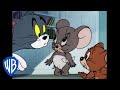 Tom & Jerry | Best of Tuffy Compilation | WB Kids