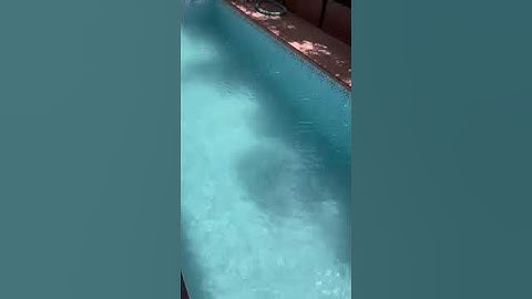 Spark Pool Conditioner Testimonial by Say Alonzo #swimmingpool