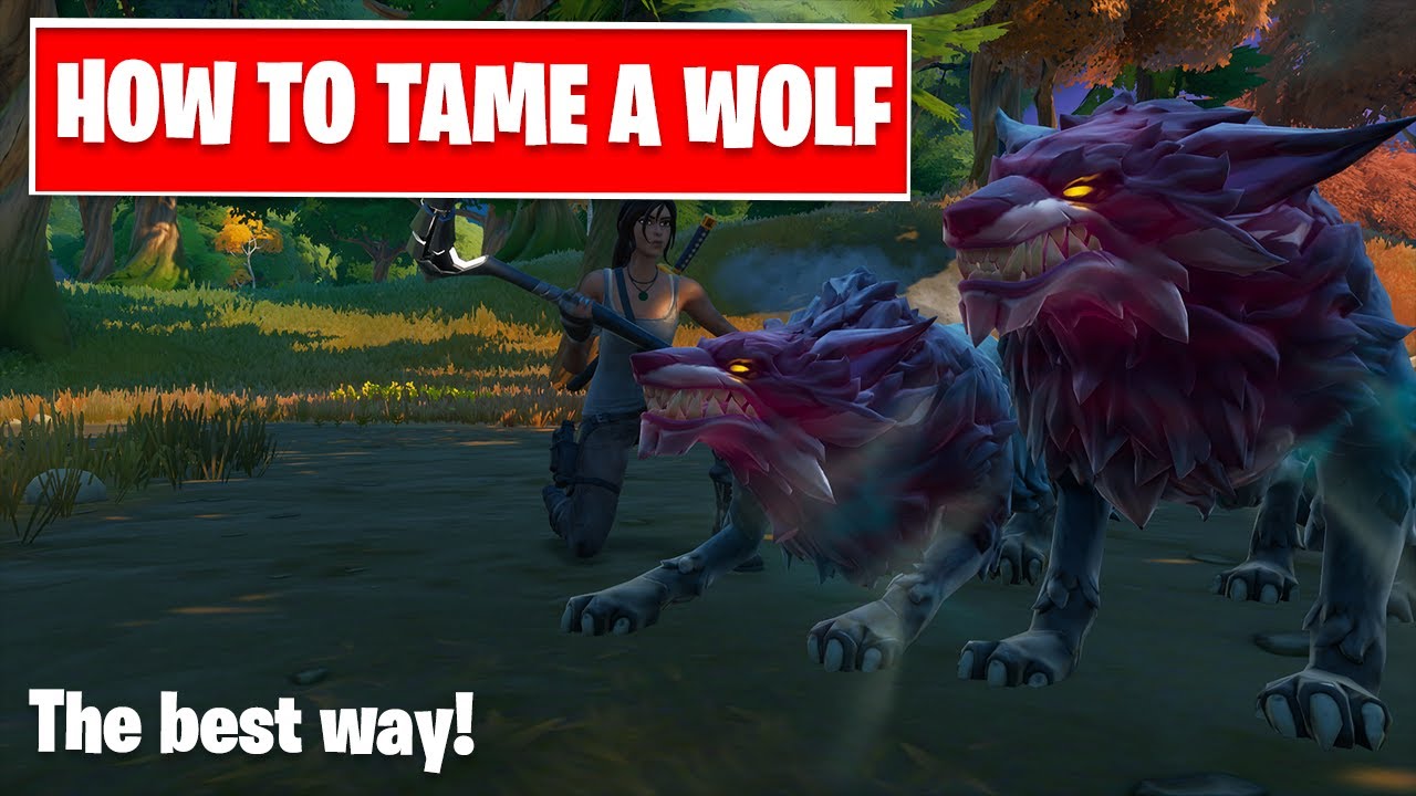 How To Tame A Wolf The Easiest Best Way In Fortnite Season 6 Chapter 2 Youtube 