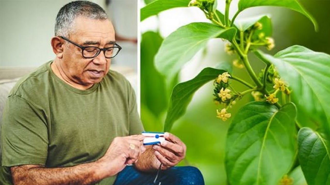 How to Lower Glucose Levels Quickly – GlucoTrust and the Real Causes of High Blood Sugar & Belly Fat