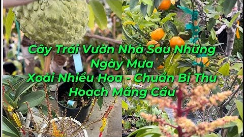 Hóa chất clo o bien hoa dong nai năm 2024