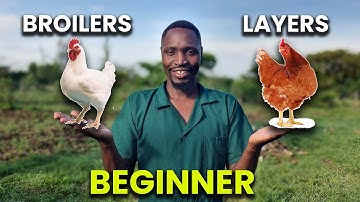 Layers vs Broilers | Which is BEST?